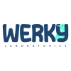 agencia de marketing digital werky