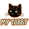 my tabby