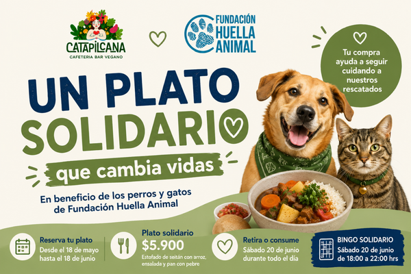 plato solidario Fundación Huella Animal