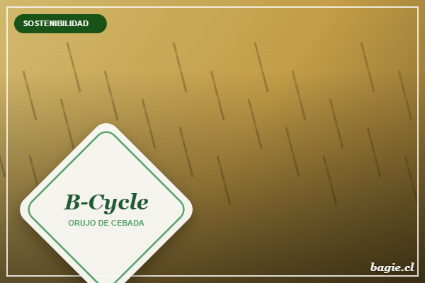 B-Cycle, packaging compostable hecho con orujo de cebada de cerveza