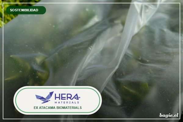Hera Materials, logo sobre foto real del material Woodpack