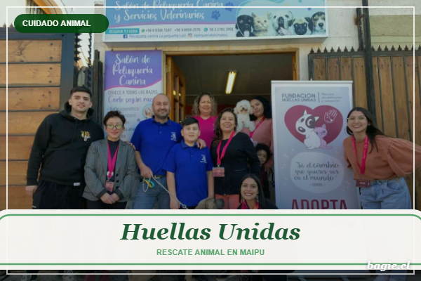 Huellas Unidas, rescate animal en Maipu, logo en label sobre foto real