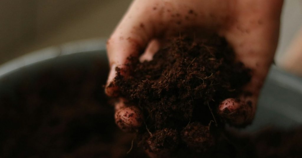 Mano sosteniendo compost, diferencia entre material biodegradable y compostable