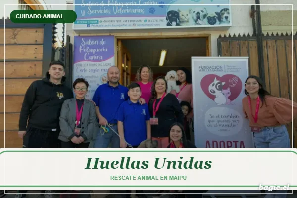 Huellas Unidas: la fundación de Maipú que ya rescató a 524 animales
