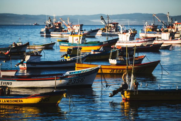 Botes de pescadores en una caleta, donde Bureo recolecta redes de pesca recicladas