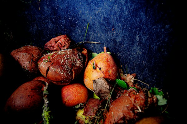 Restos orgánicos en una compostera doméstica, donde puedes compostar tu bolsa compostable