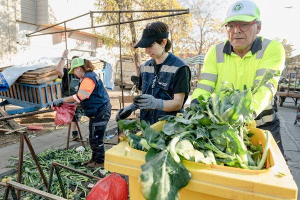 Recolección de residuos orgánicos en una feria libre, programa basura cero de Fundación Basura