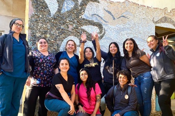 Equipo veterinario de Fundación Quiltro en un operativo
