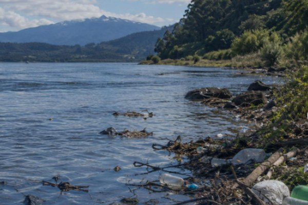Residuos en la orilla de un lago, imagen de Reciclapp sobre el impacto de la basura